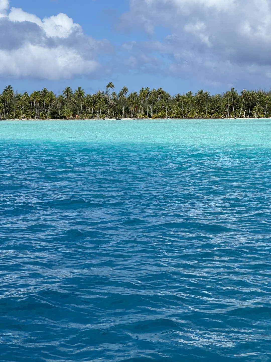 这片海真的让人很上头