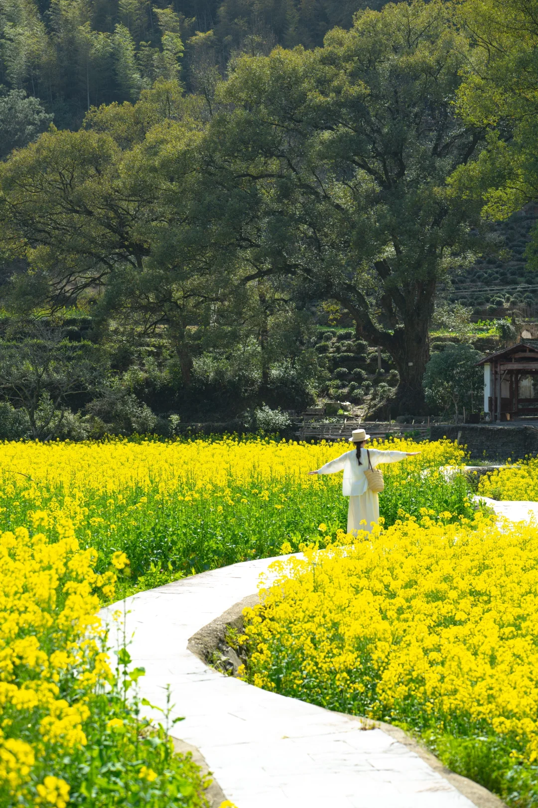 迄今为止❗️我最喜欢的春日小城出现啦‼️
