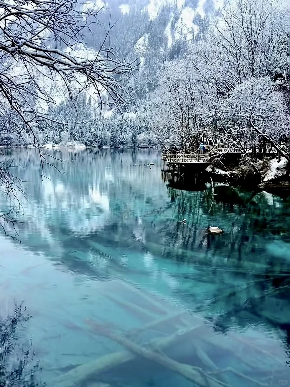 2.17 九寨沟live现状,想去的姐妹慎重。。。😅