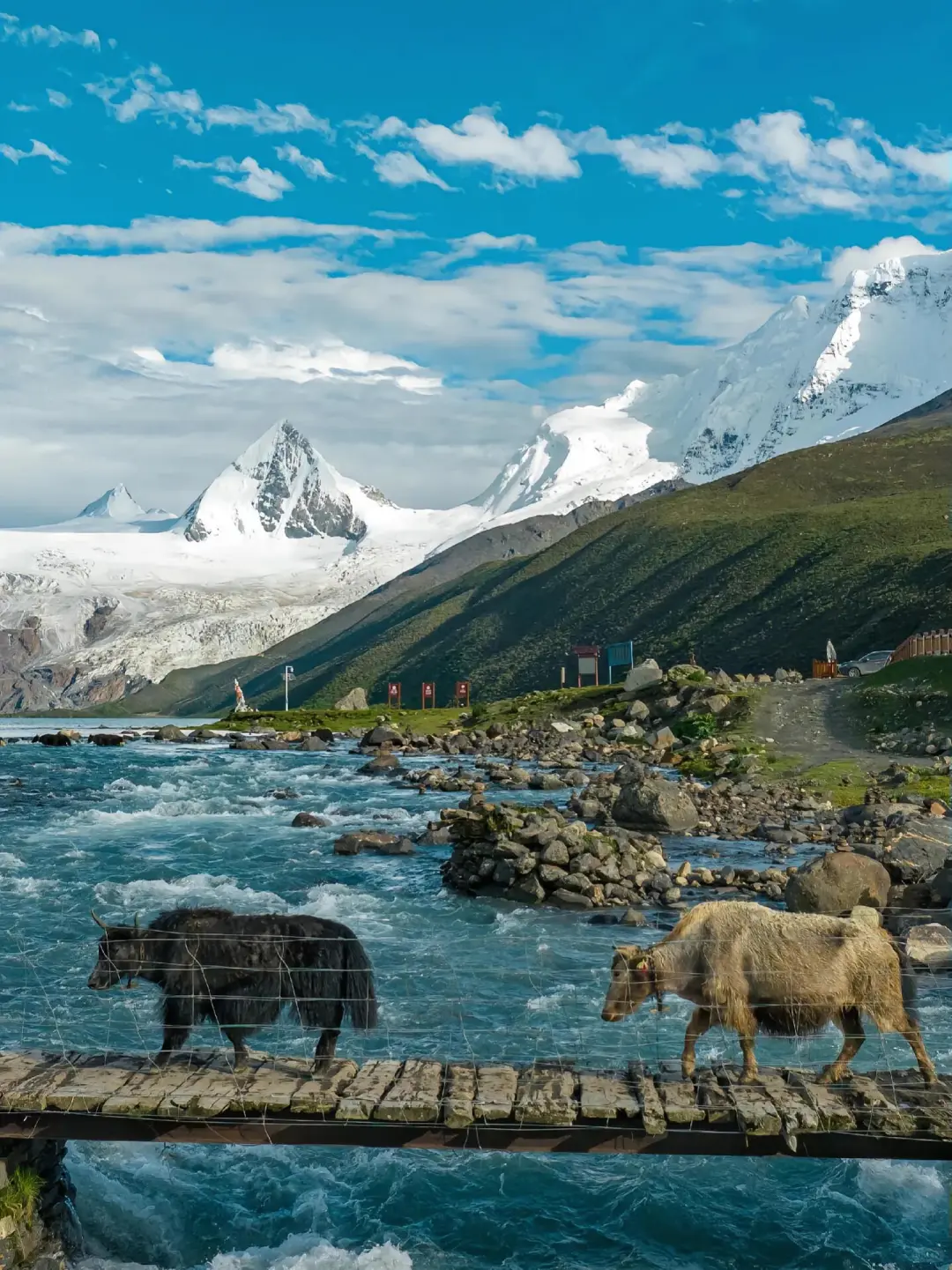 为了这条桥来的萨普神山，真的比冰岛还震撼！
