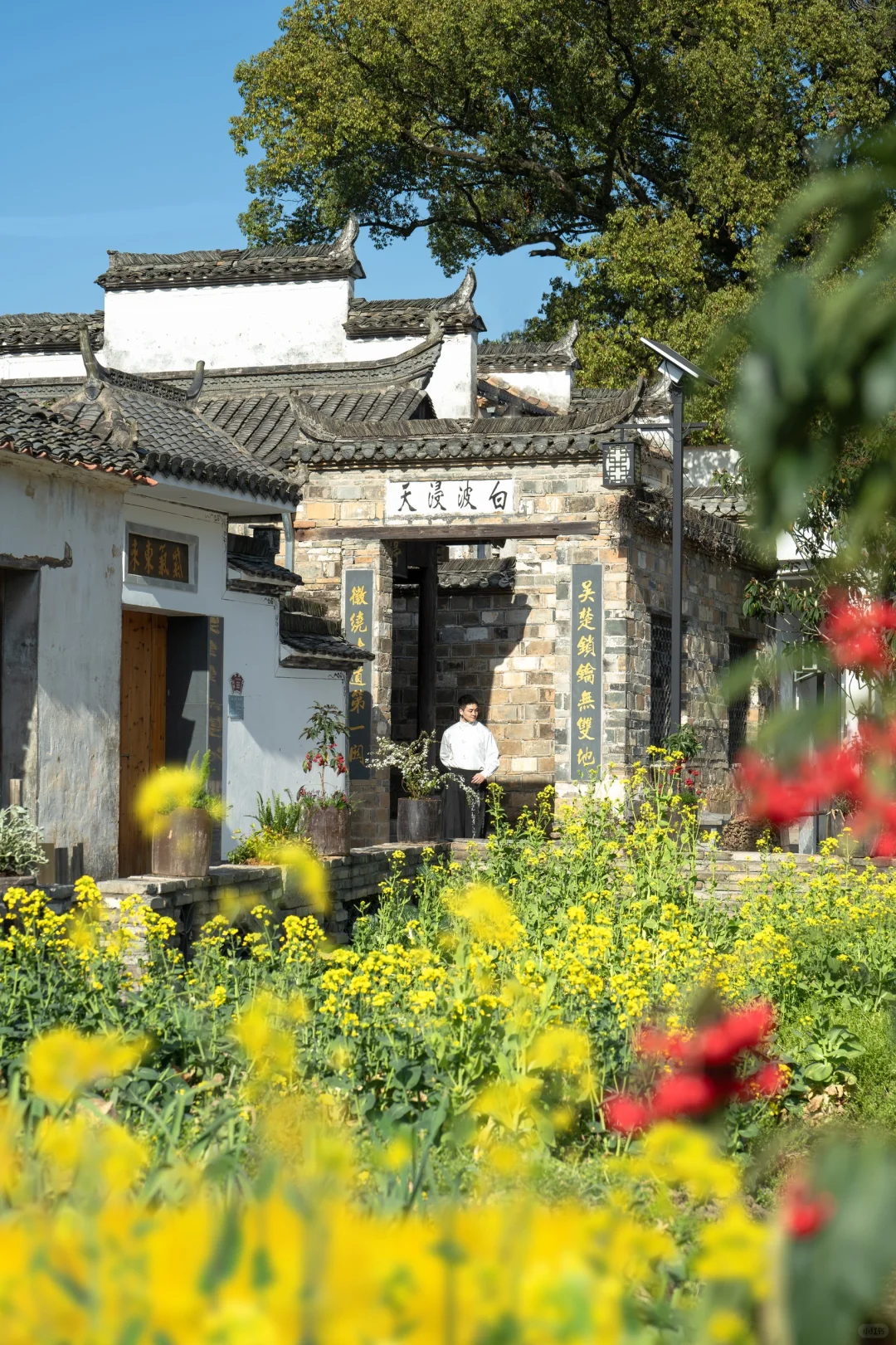 迄今为止❗️我最喜欢的春日小城出现啦‼️