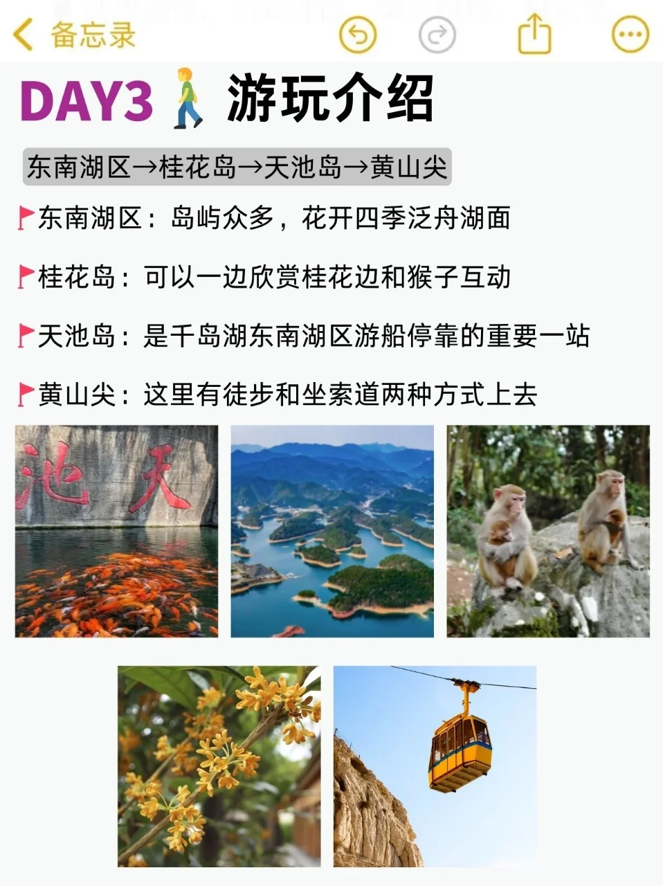 千岛湖旅游指南，本地人总结
