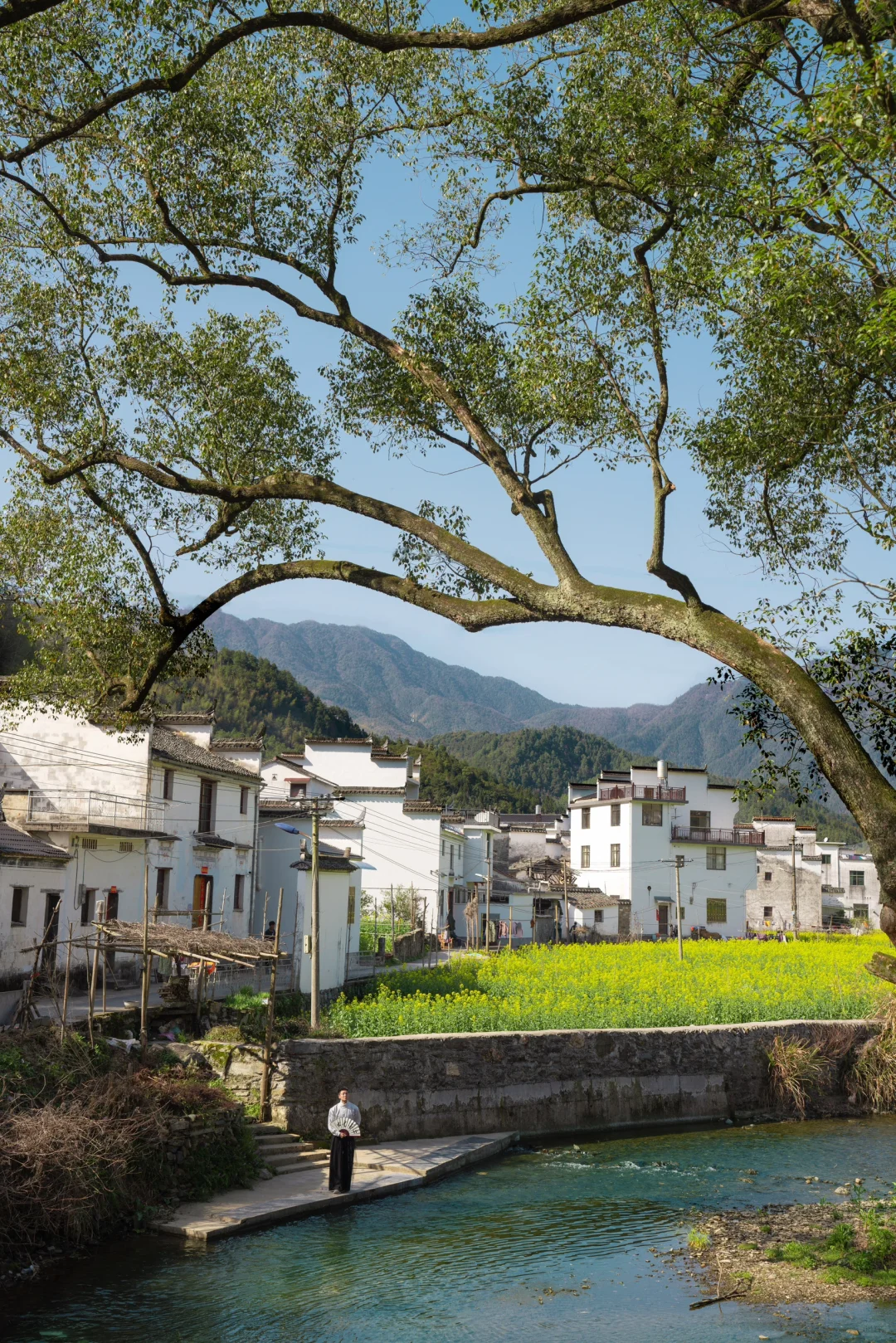 迄今为止❗️我最喜欢的春日小城出现啦‼️