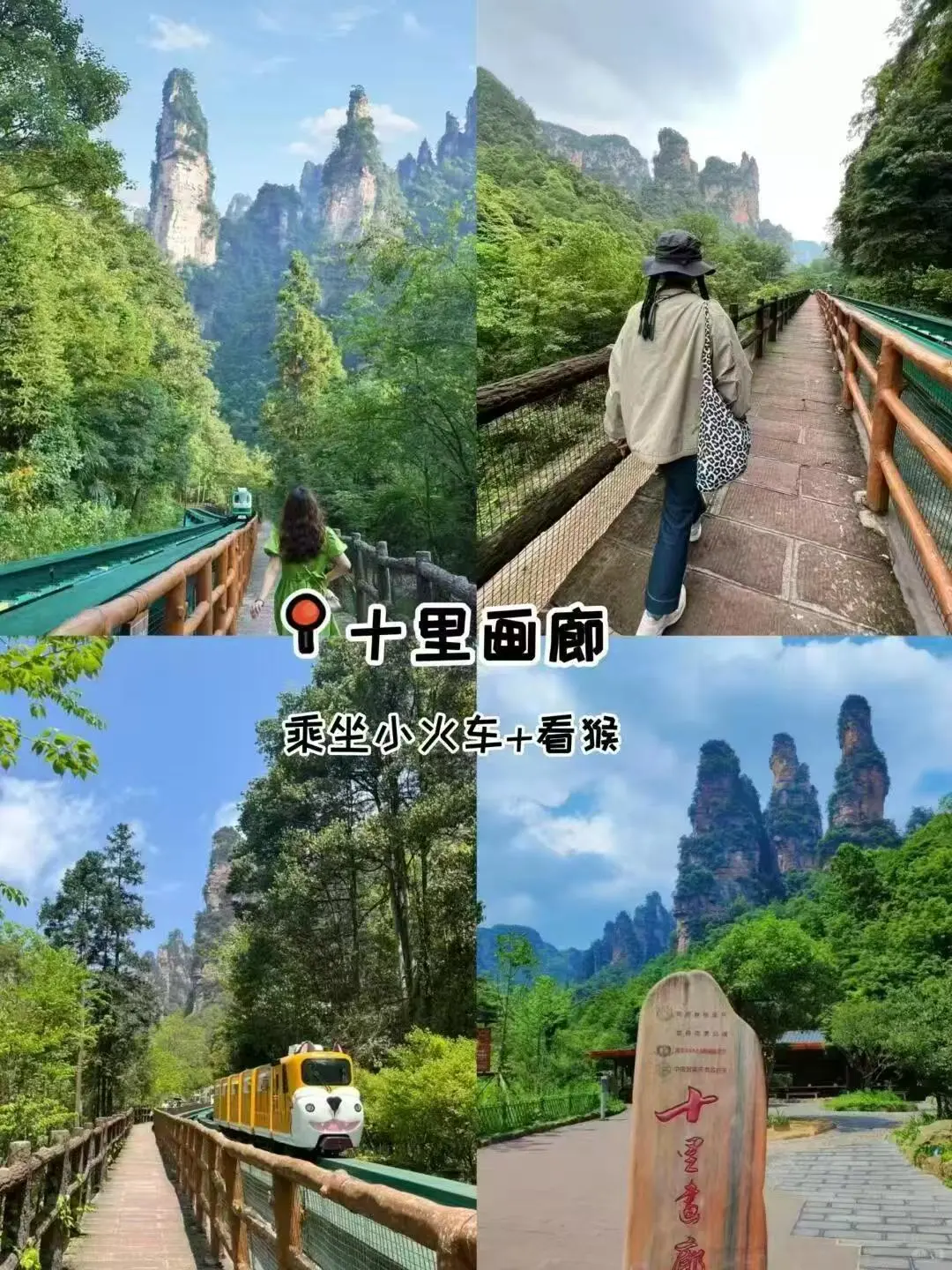 2025张家界旅游最全攻略💎张家界五日游