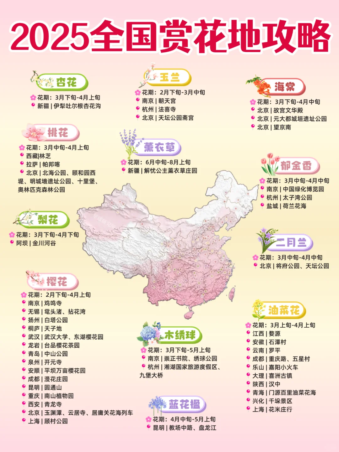 2025最新3-4月国内💐赏花地保姆级赏花攻略