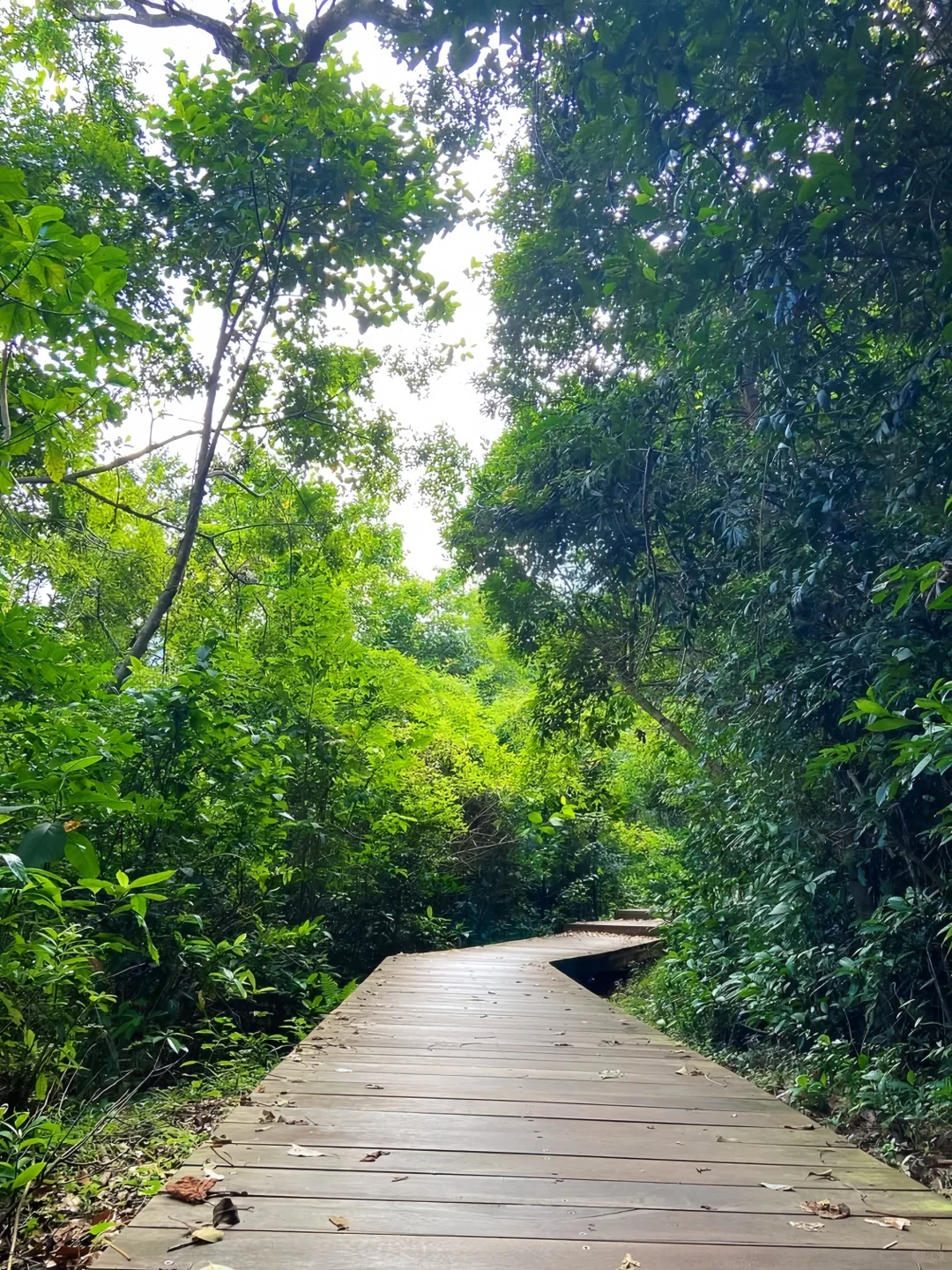 🪐被《孤独星球》评为亚洲Top5的旅游路线