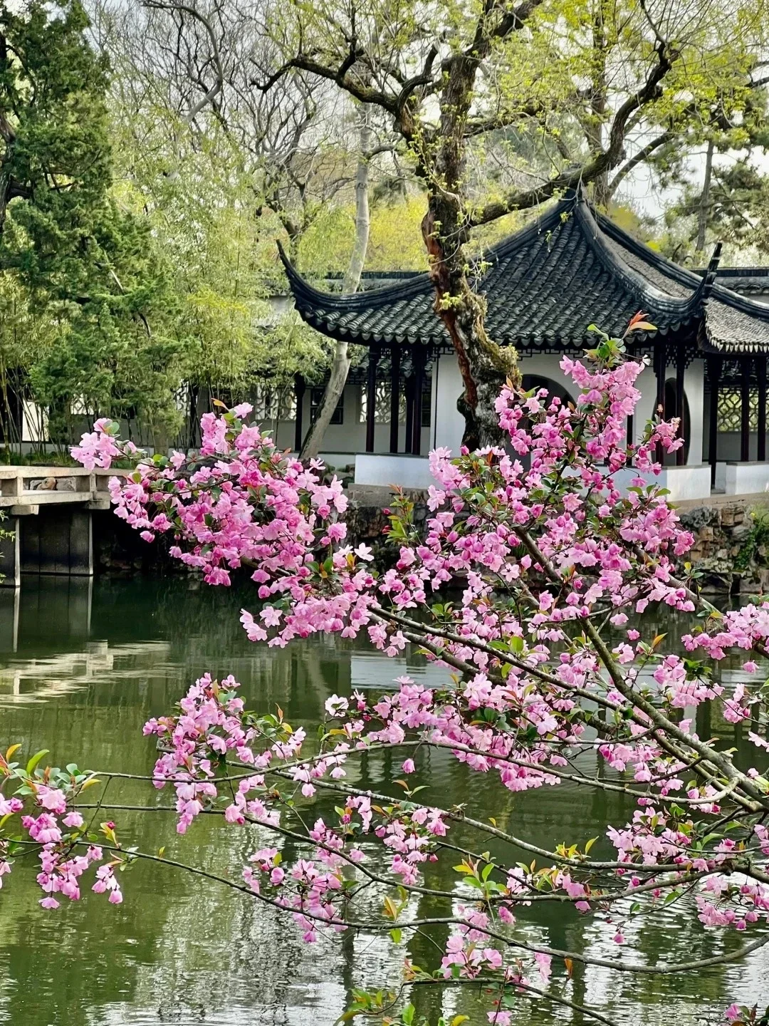 中国春景最美的10个地方争取一年去一个