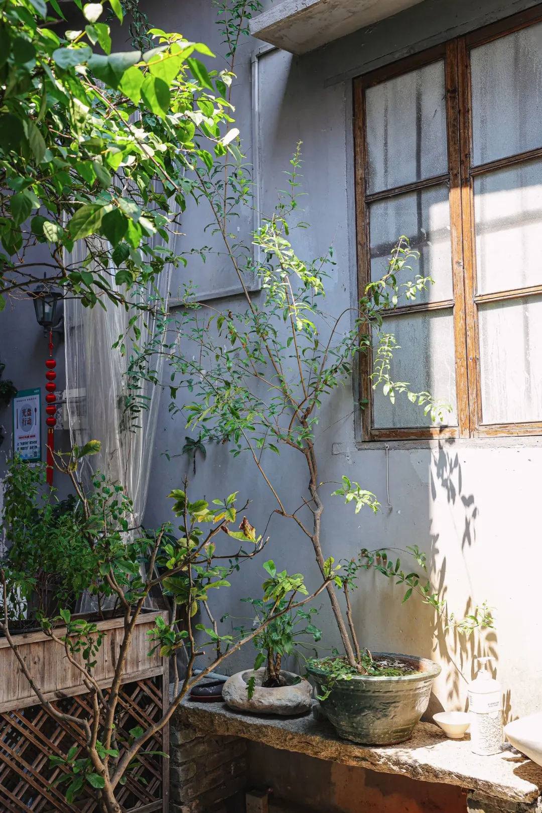 终于找到了‼️推荐给来顺德旅游的宝😍