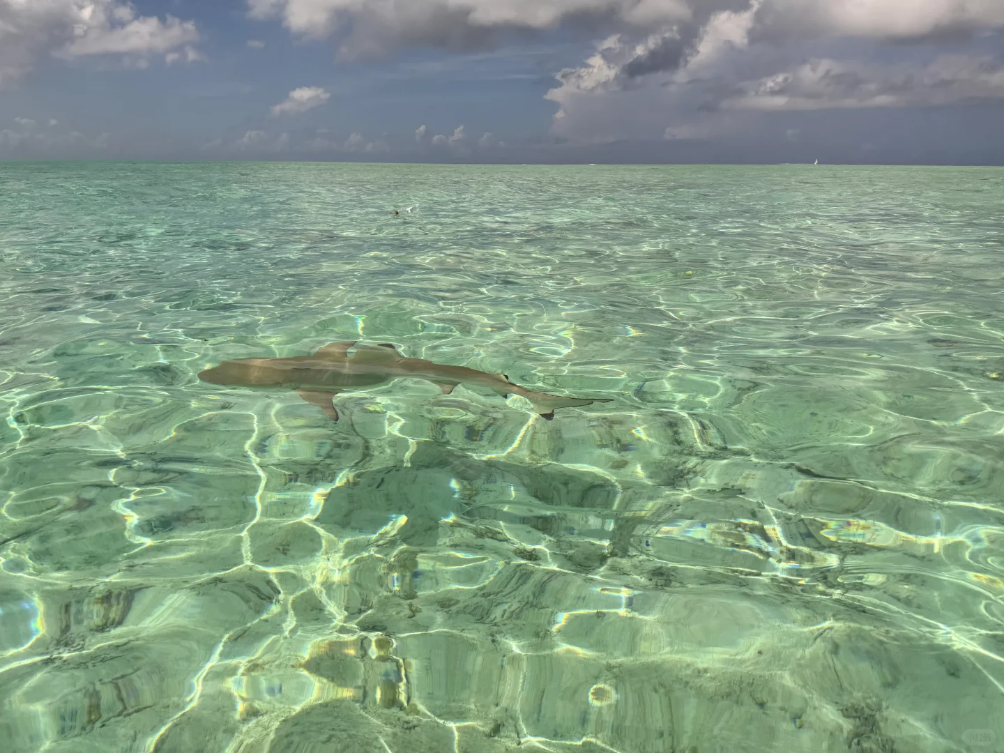 这片海真的让人很上头