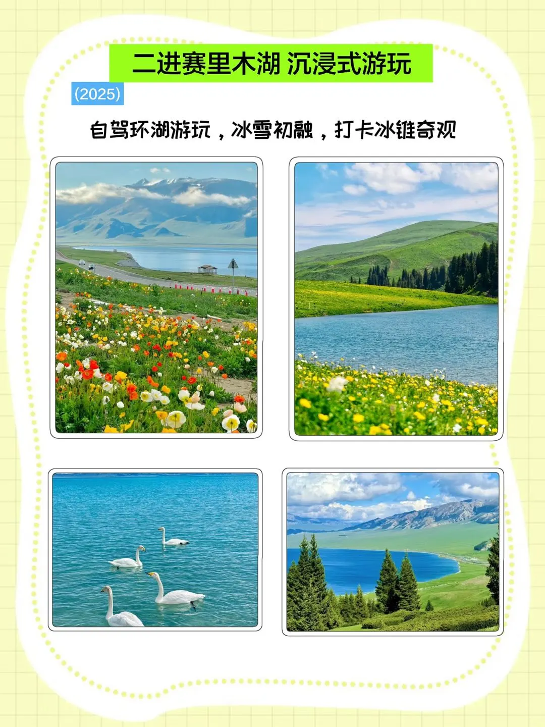 伊犁旅游💎定制旅程📸专属旅行强推❗