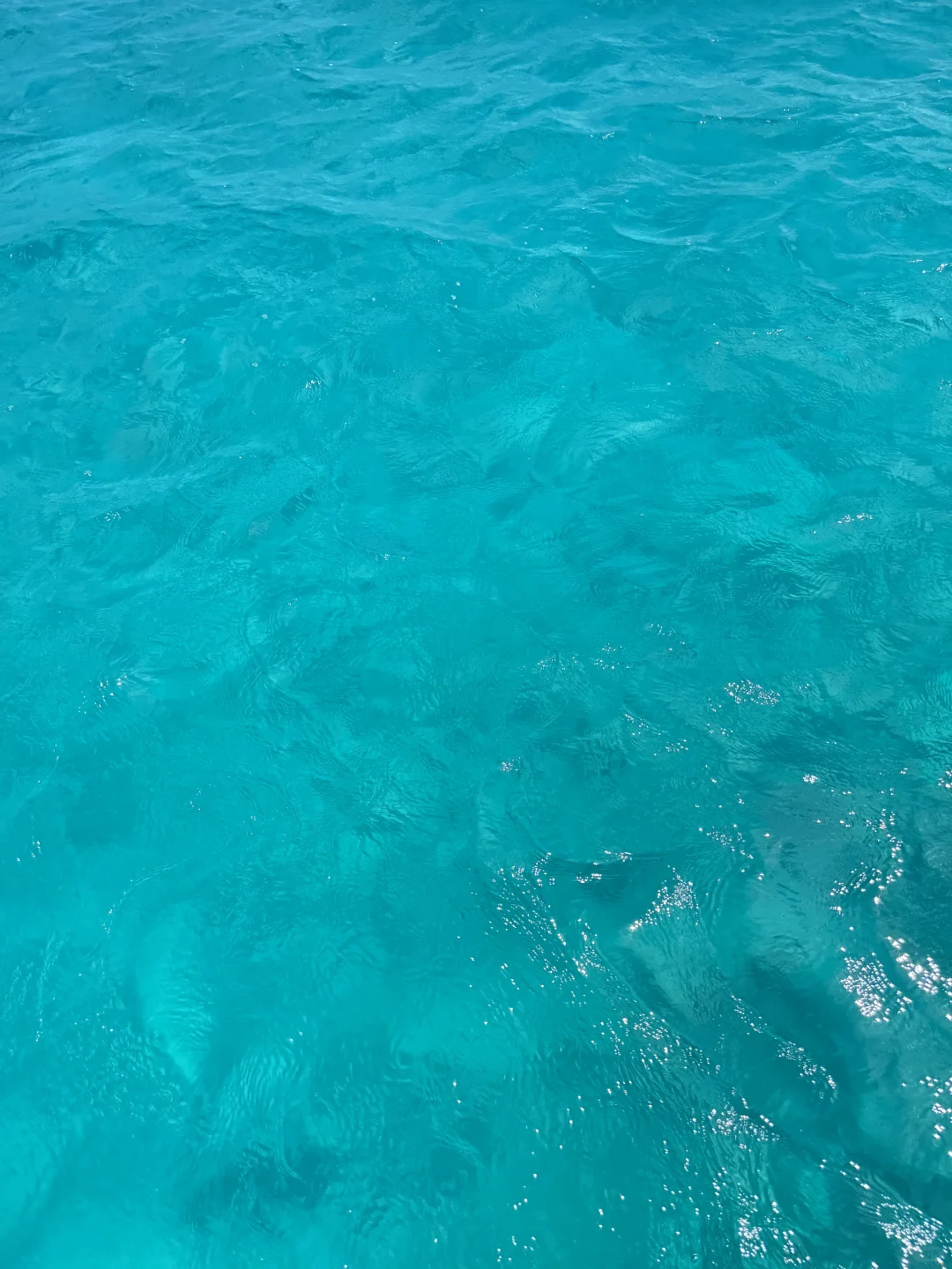 这片海真的让人很上头