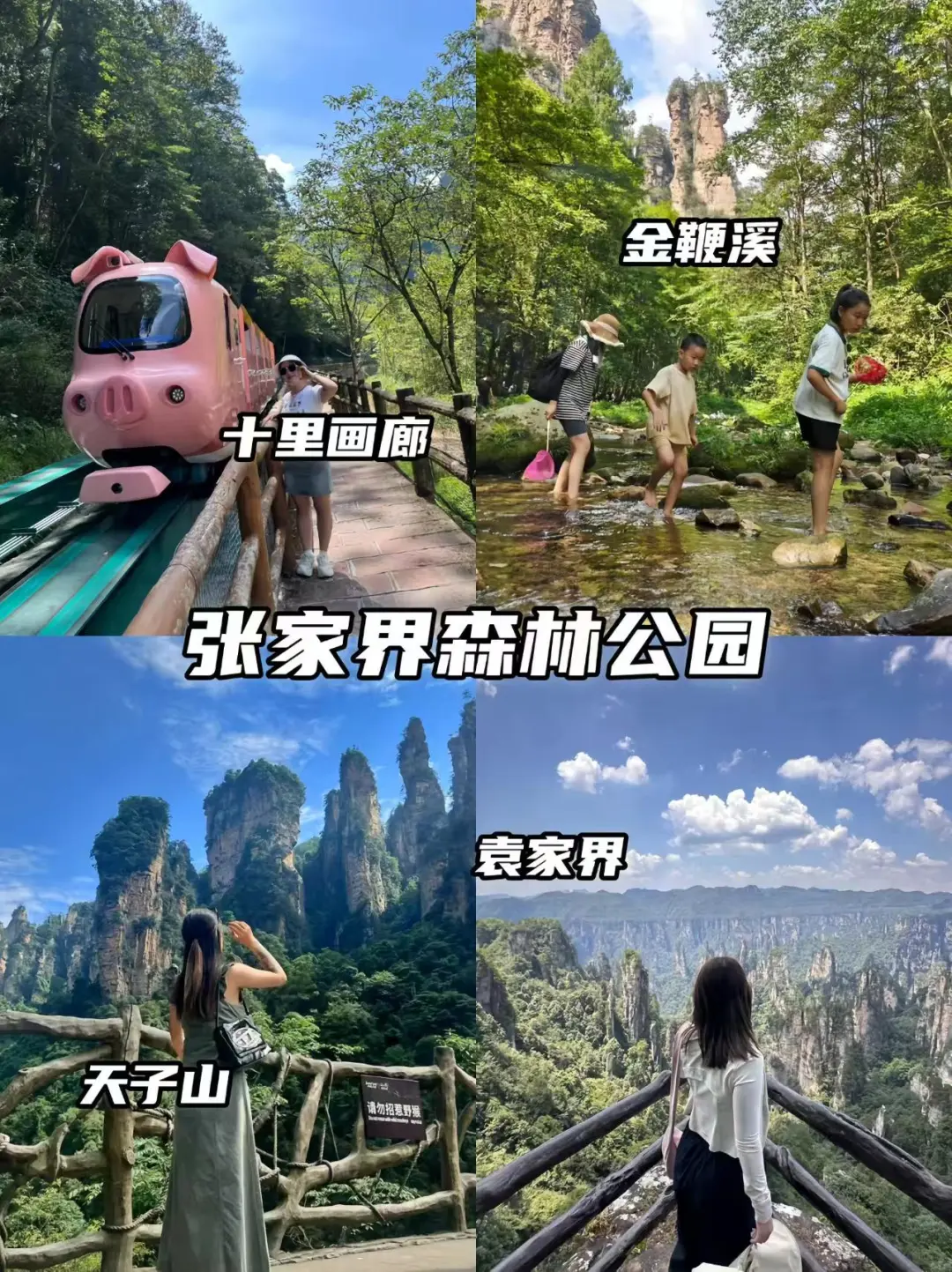 2025张家界旅游最全攻略💎张家界五日游