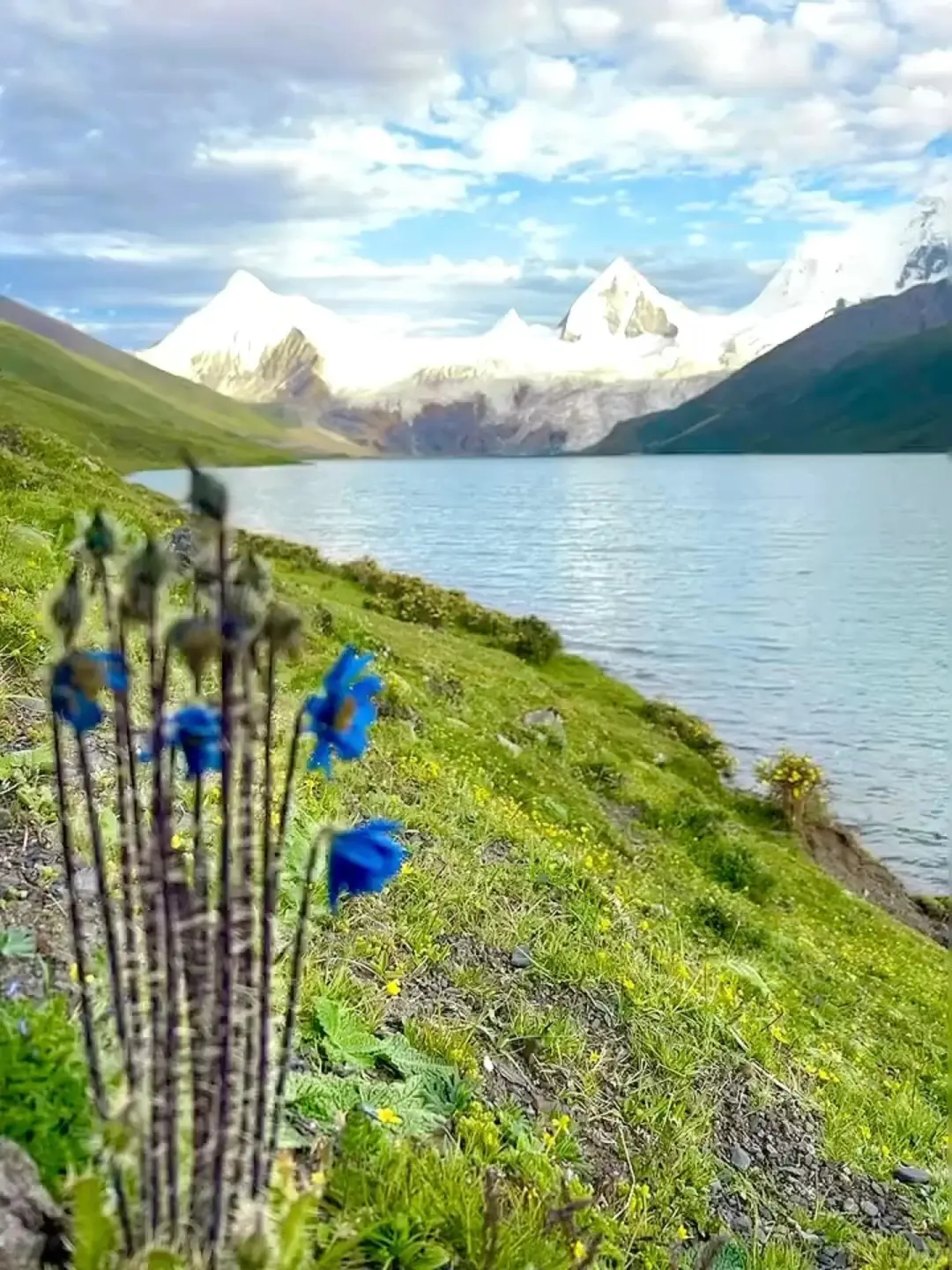 为了这条桥来的萨普神山，真的比冰岛还震撼！