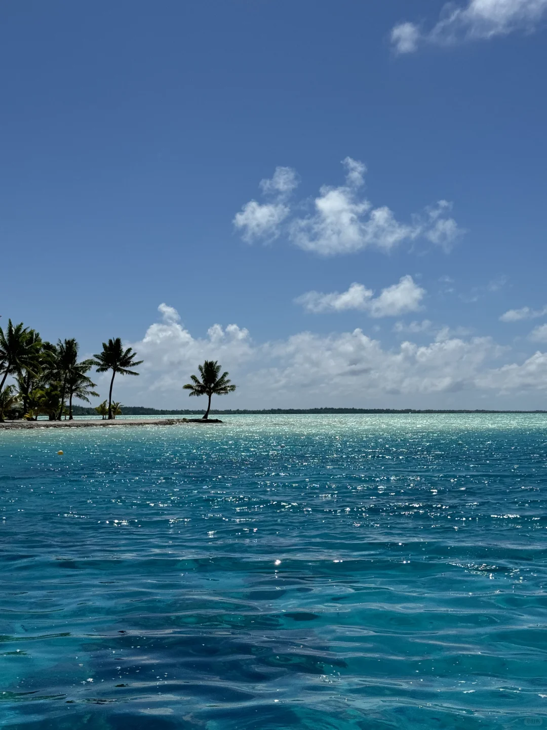 这片海真的让人很上头