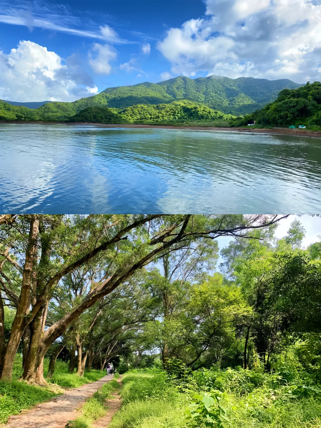 🪐被《孤独星球》评为亚洲Top5的旅游路线