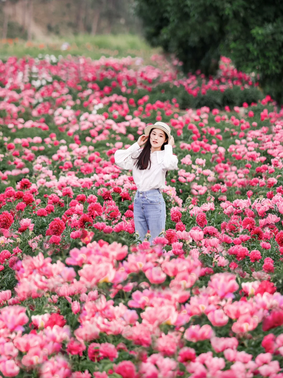 接下来的北京,比想象中还要美!