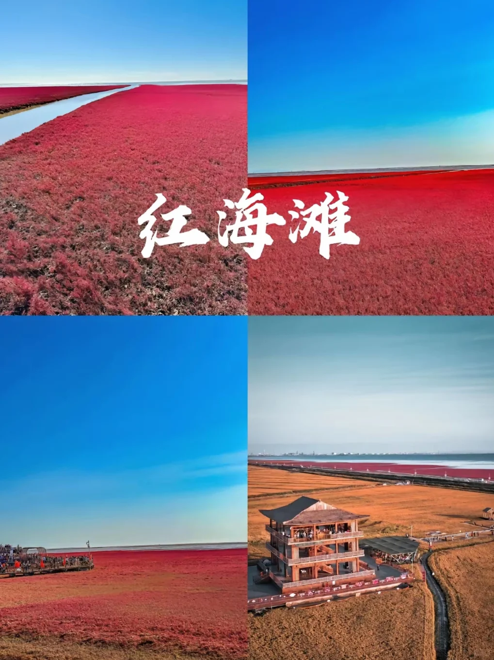 🌾【沈阳→盘锦】超全旅游攻略！5大必打