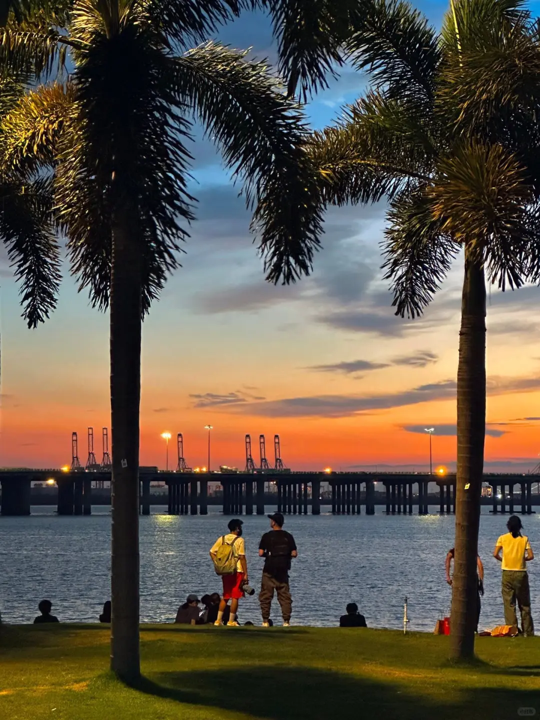 愿去深圳的姐妹都能刷到这篇❤️