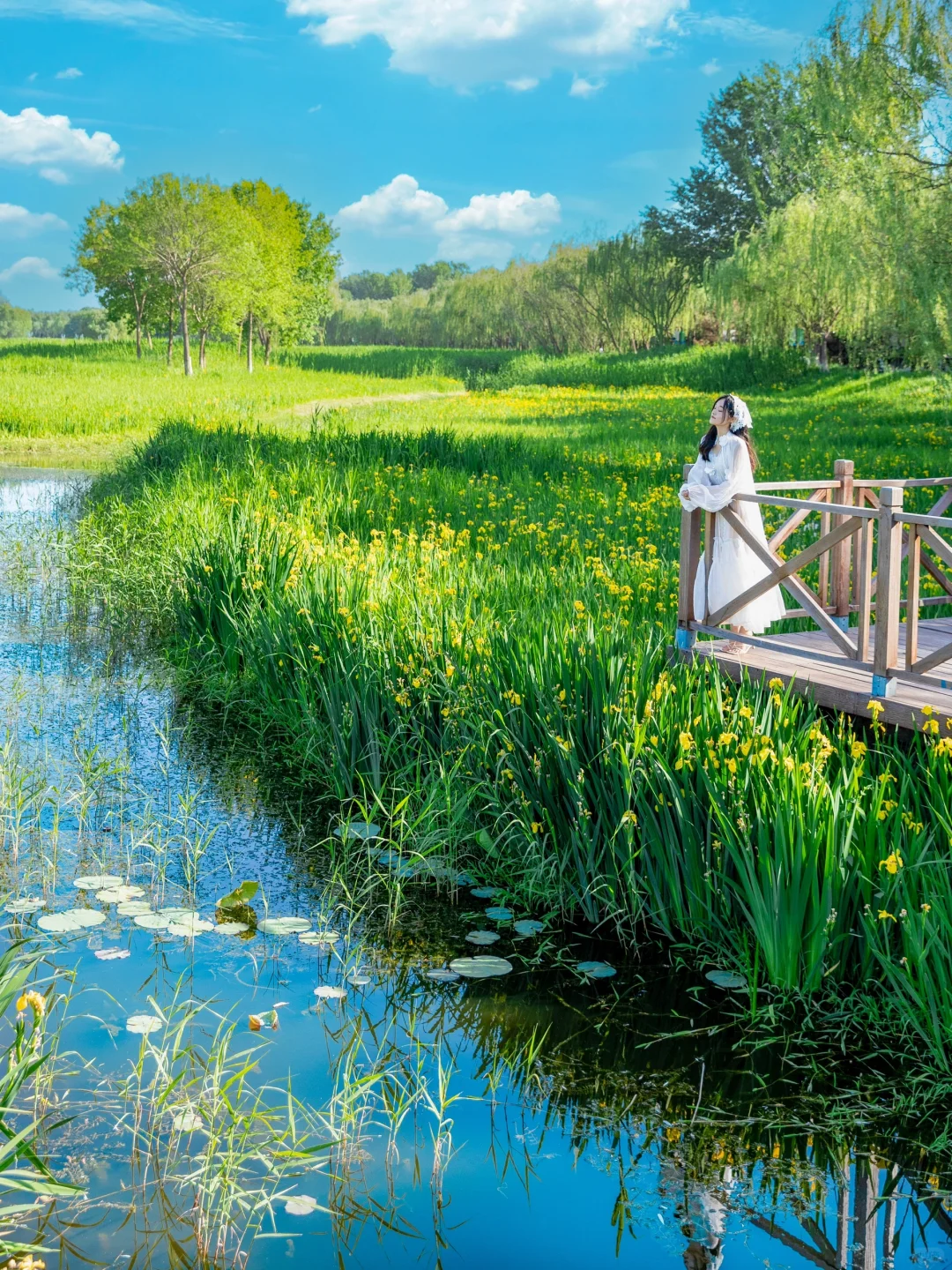 接下来的北京,比想象中还要美!