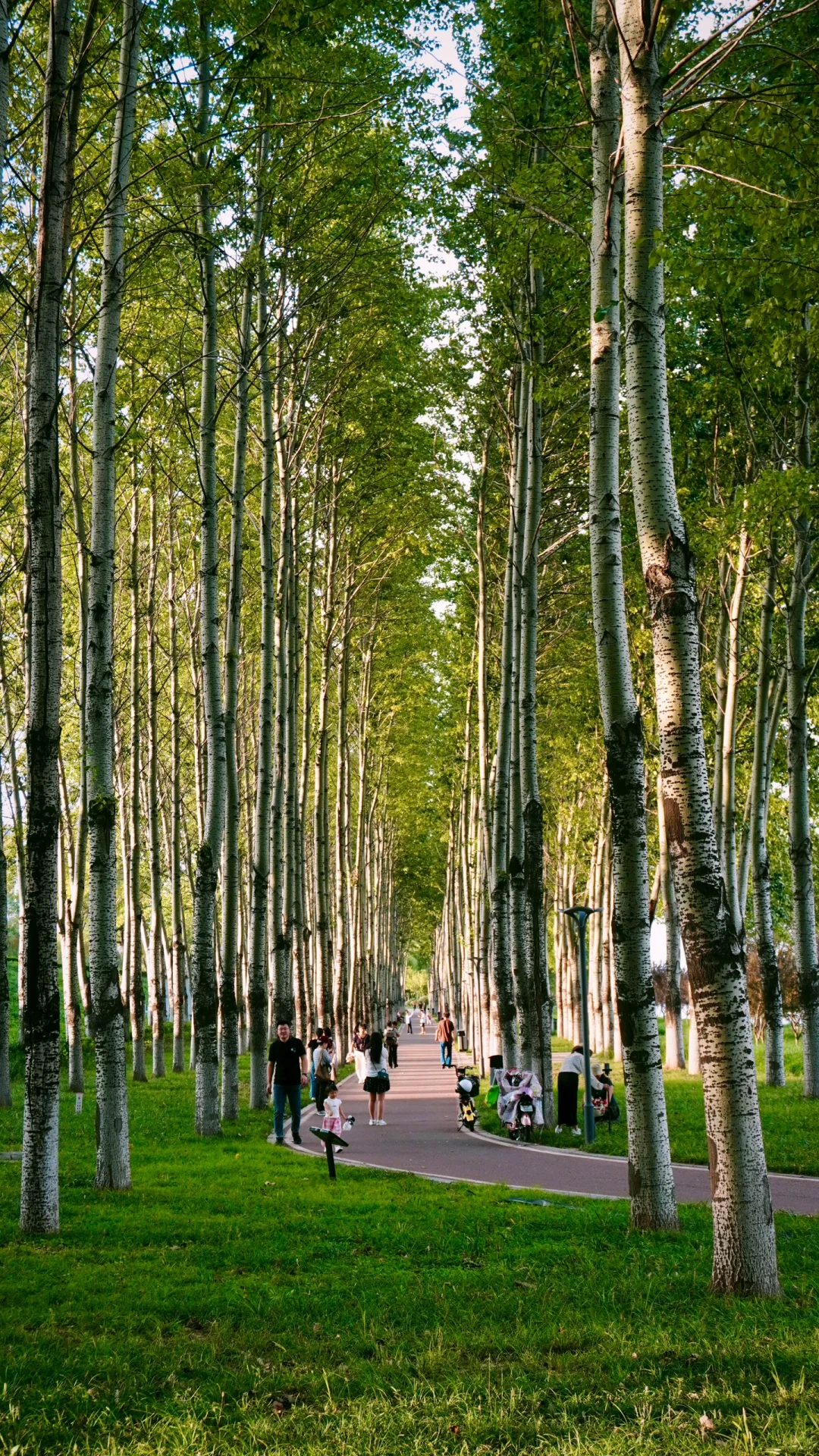 为了这18张图,我飞了趟山东临沂❗️❗️附机位