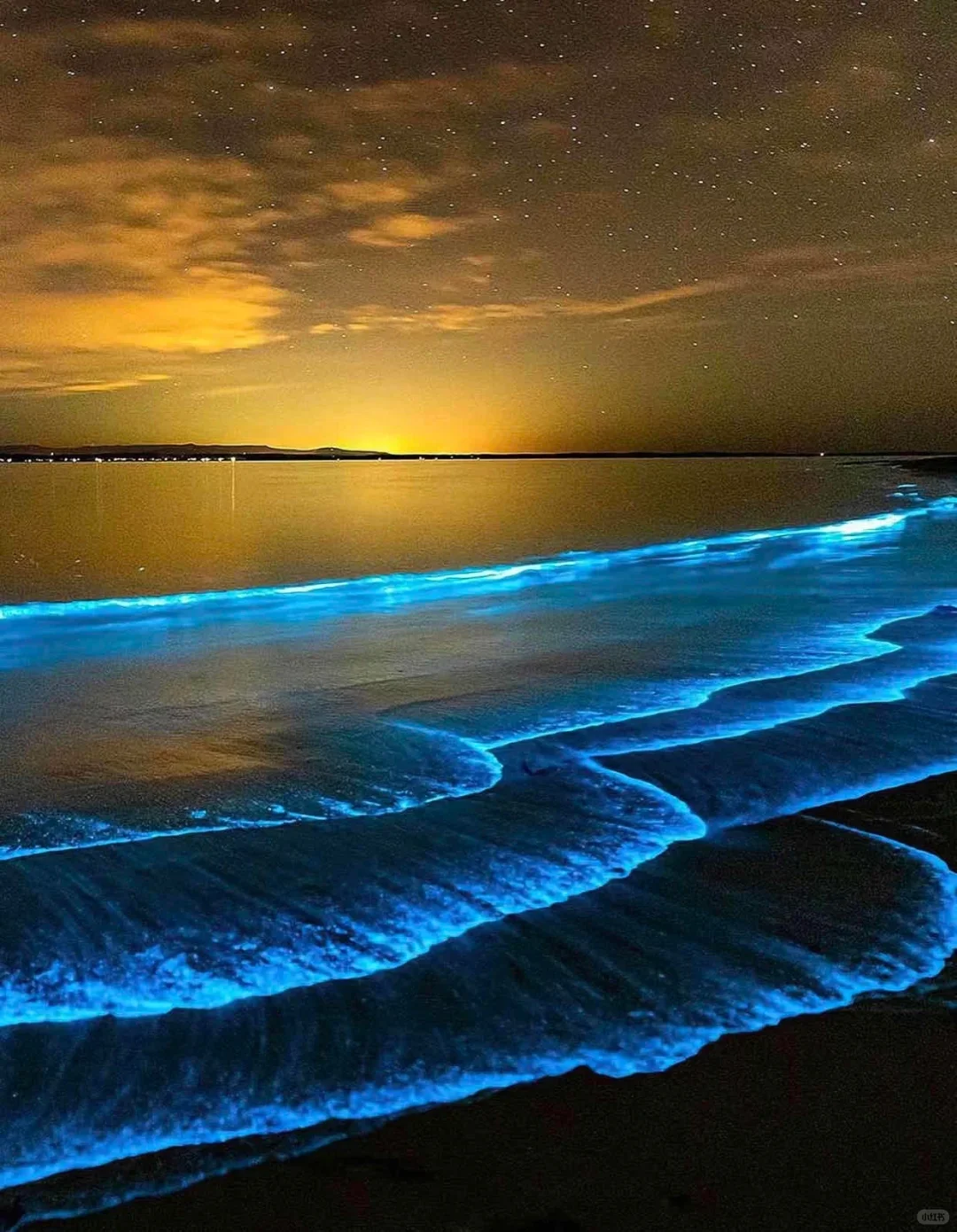 想追蓝眼泪💧的朋友，千万不要放过涠洲岛