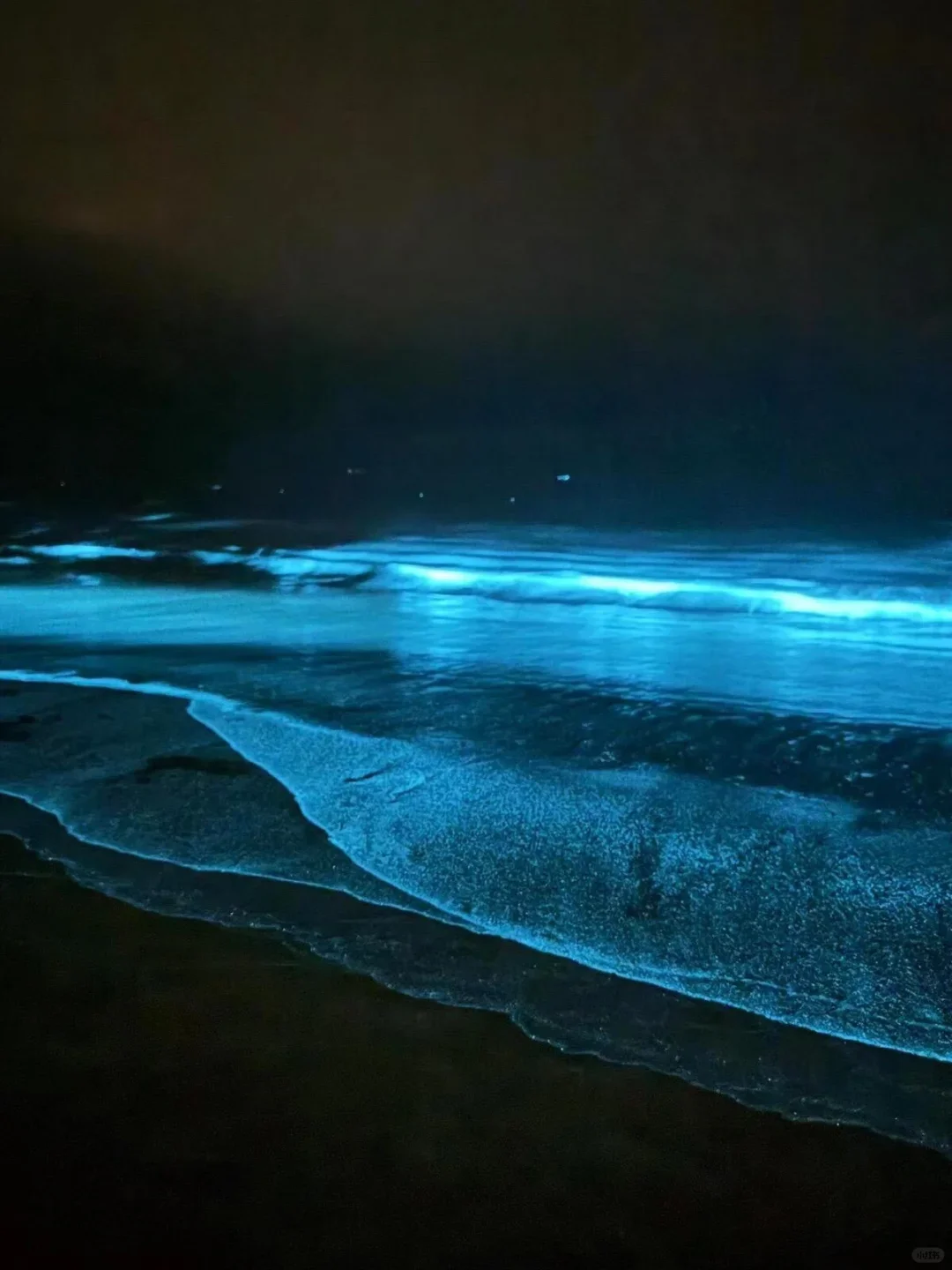 想追蓝眼泪💧的朋友，千万不要放过涠洲岛