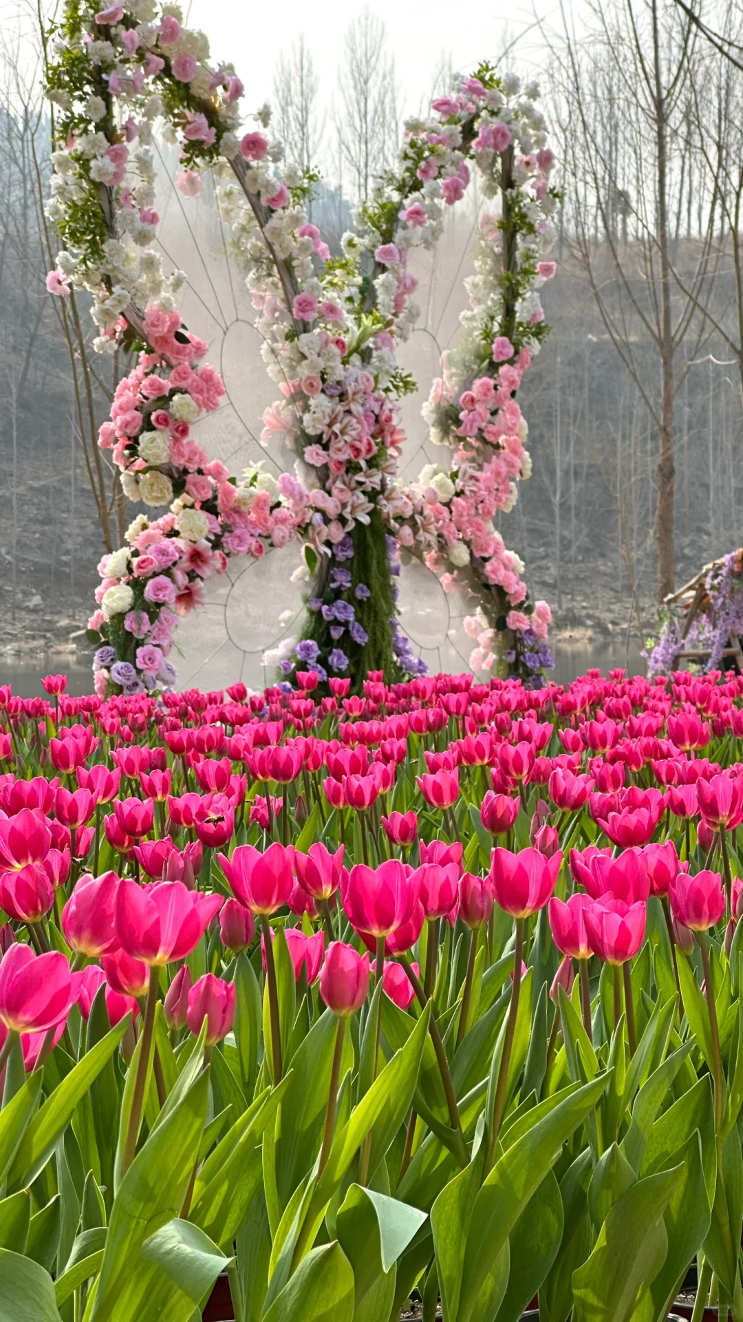 为了这18张图,我飞了趟山东临沂❗️❗️附机位