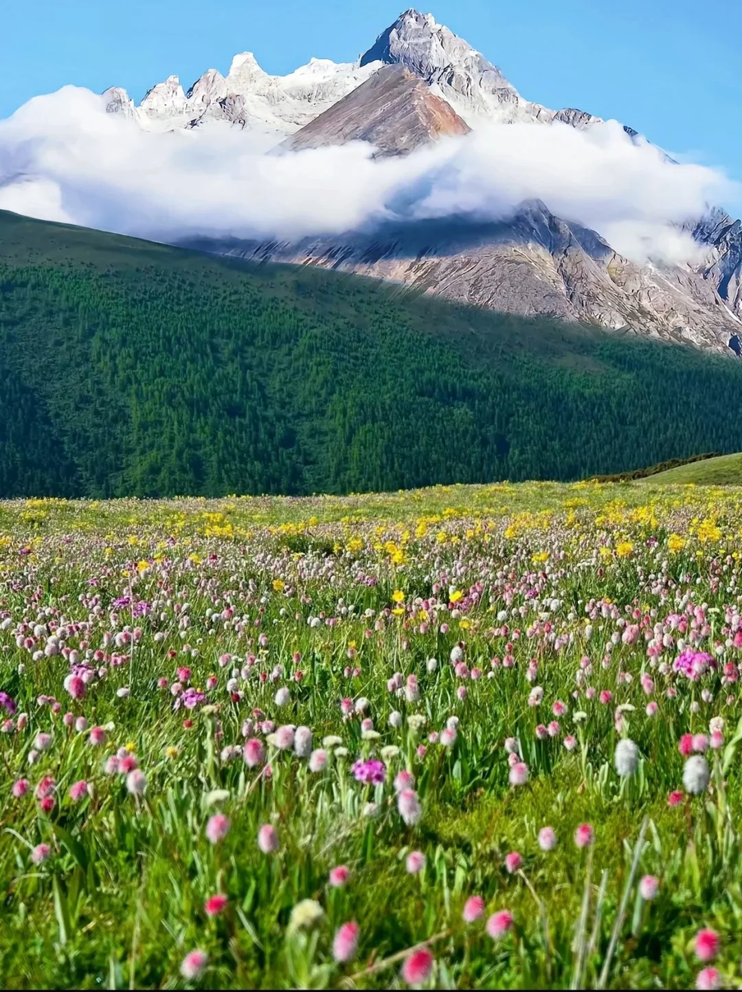 预计今年会爆火的线路—2k+的稻城格聂南线