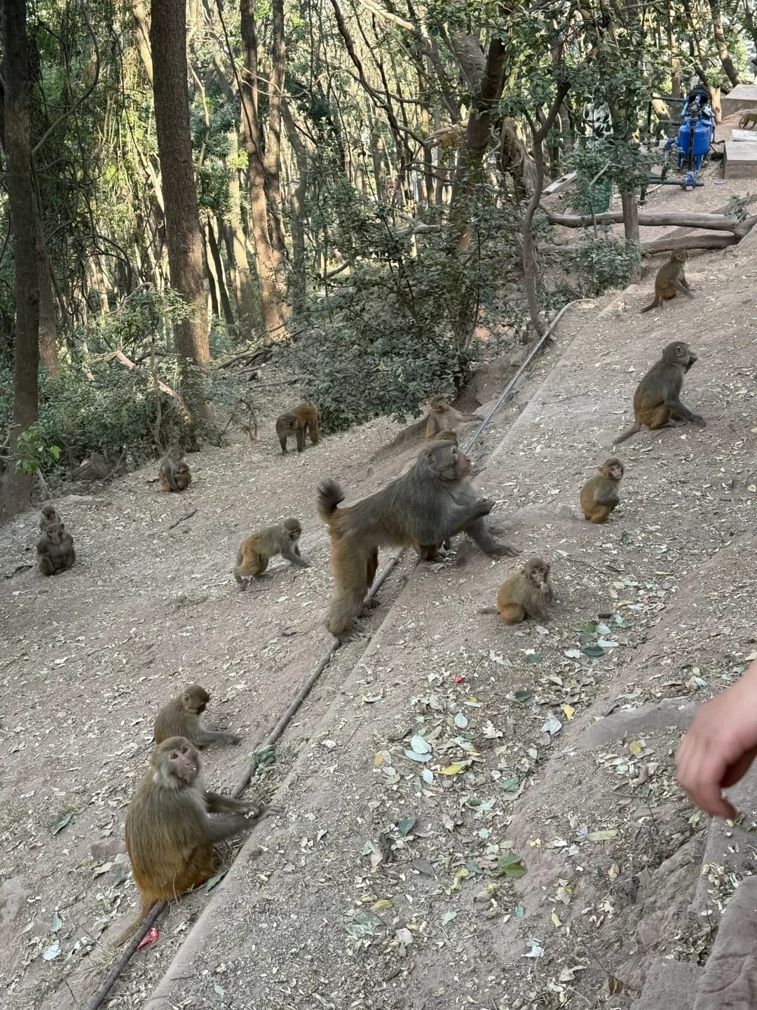 西昌刚去已回！淡季去西昌2天1夜攻略，超详细