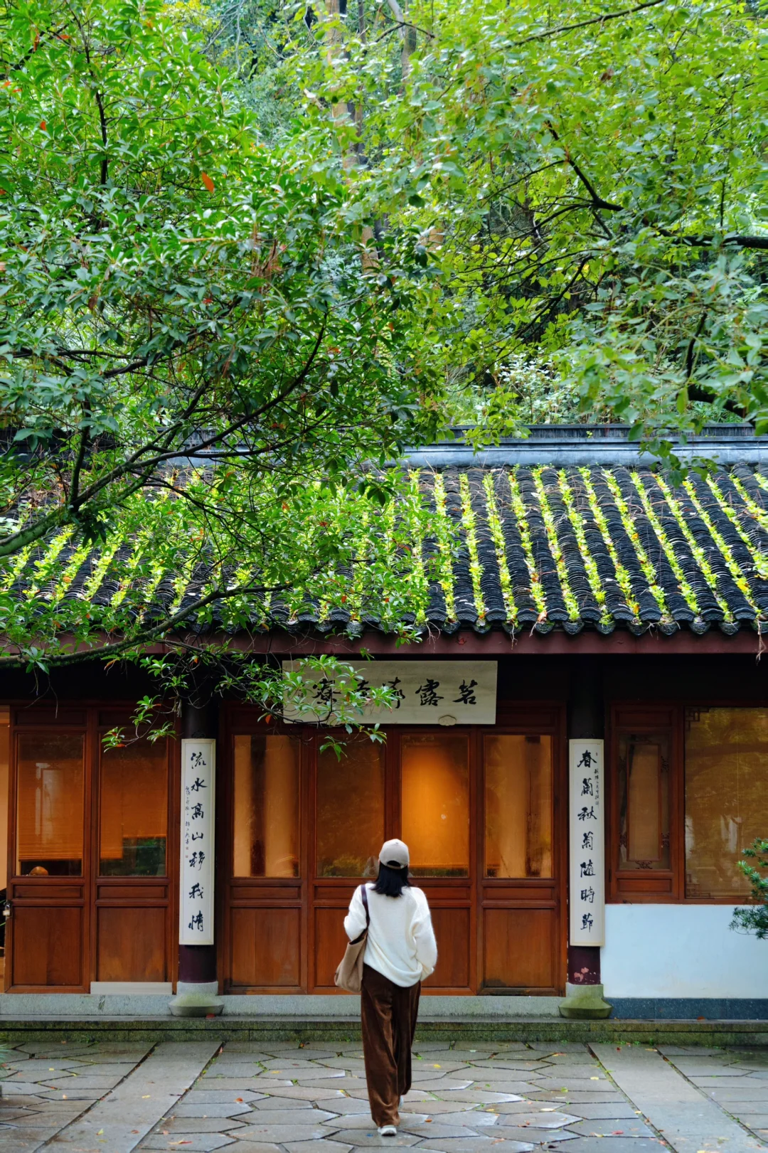我在杭州上春山‼️推荐这条春日旅行路线🌿