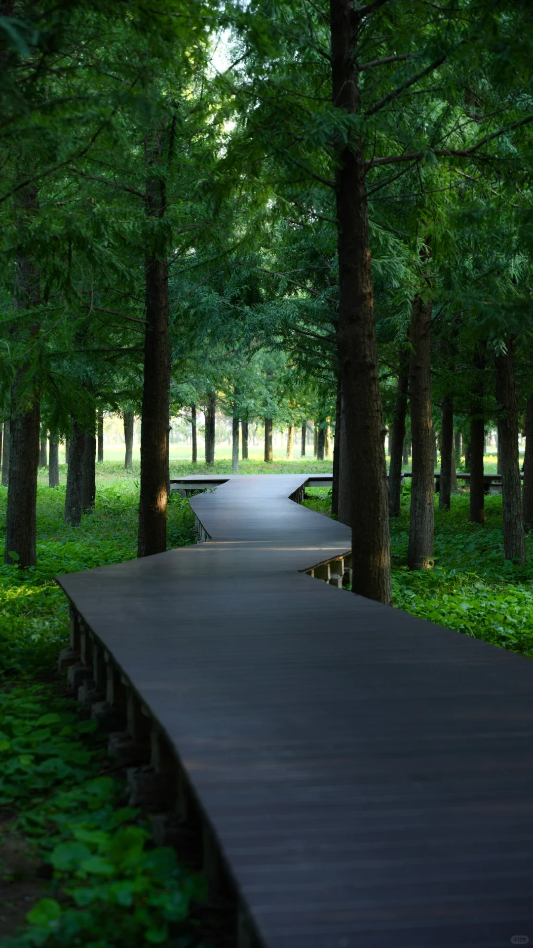 为了这18张图,我飞了趟山东临沂❗️❗️附机位