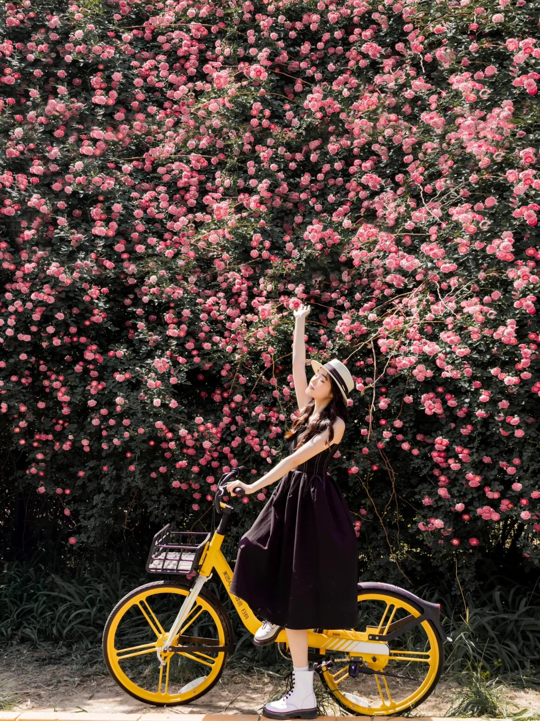 接下来的北京,比想象中还要美!