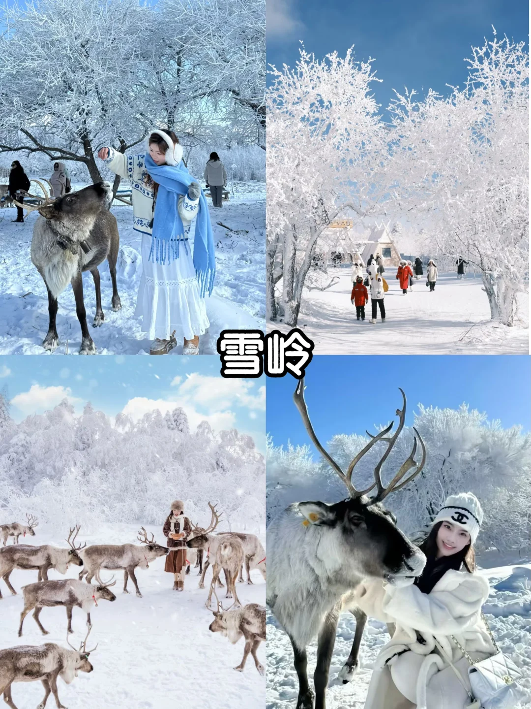 1-2月长白山延吉4天3晚✨攻略必看