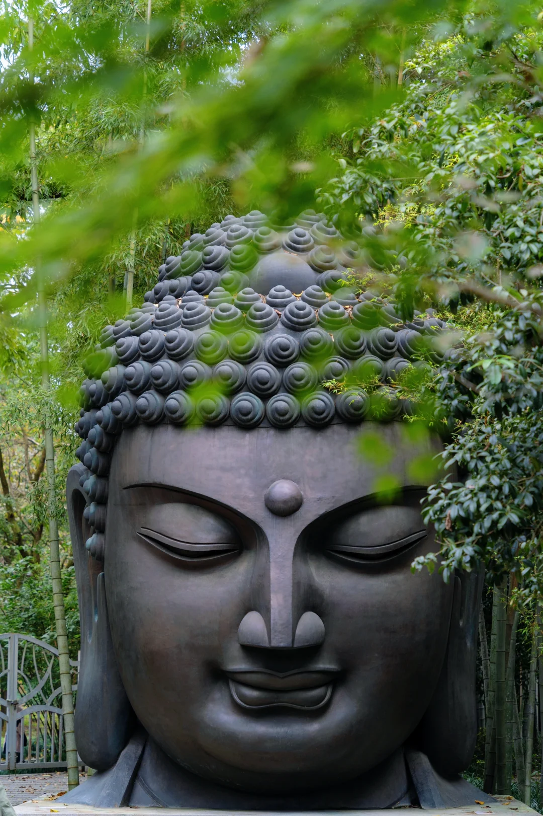 我在杭州上春山‼️推荐这条春日旅行路线🌿