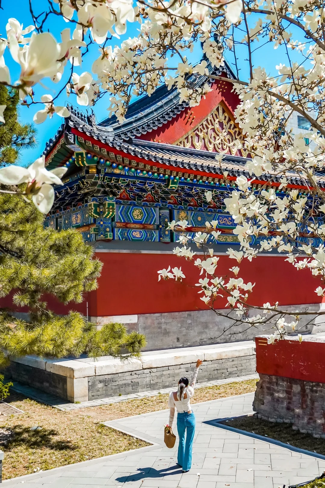 接下来的北京,比想象中还要美!