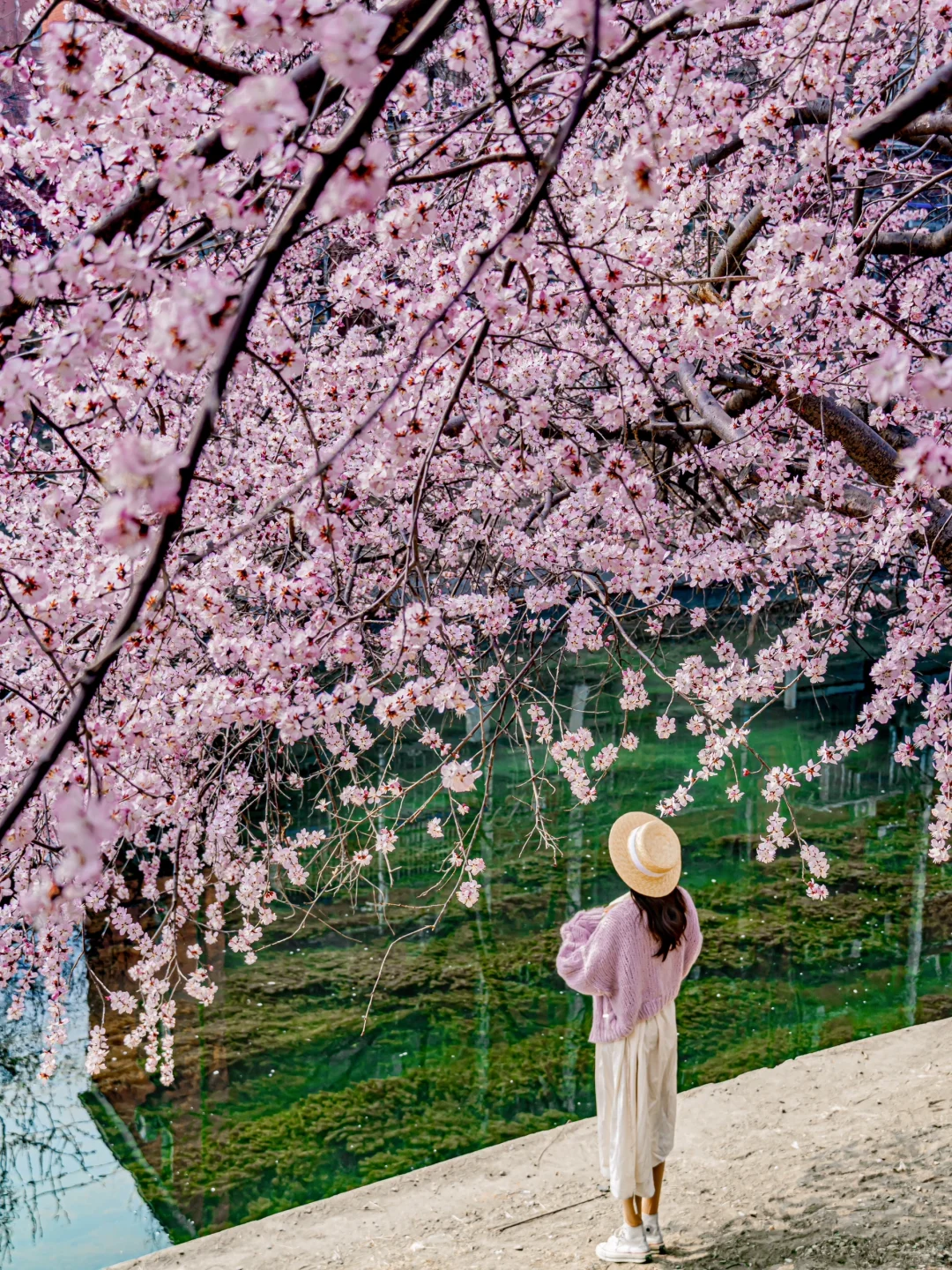 接下来的北京,比想象中还要美!