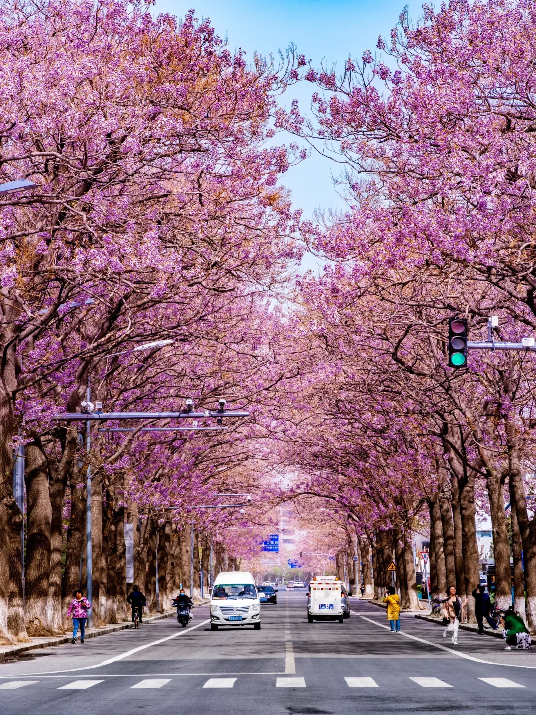 接下来的北京,比想象中还要美!