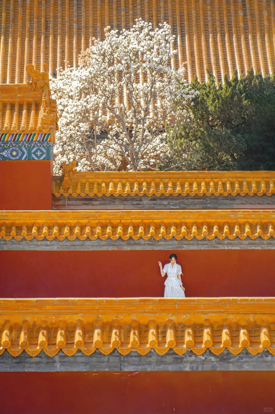 接下来的北京,比想象中还要美!