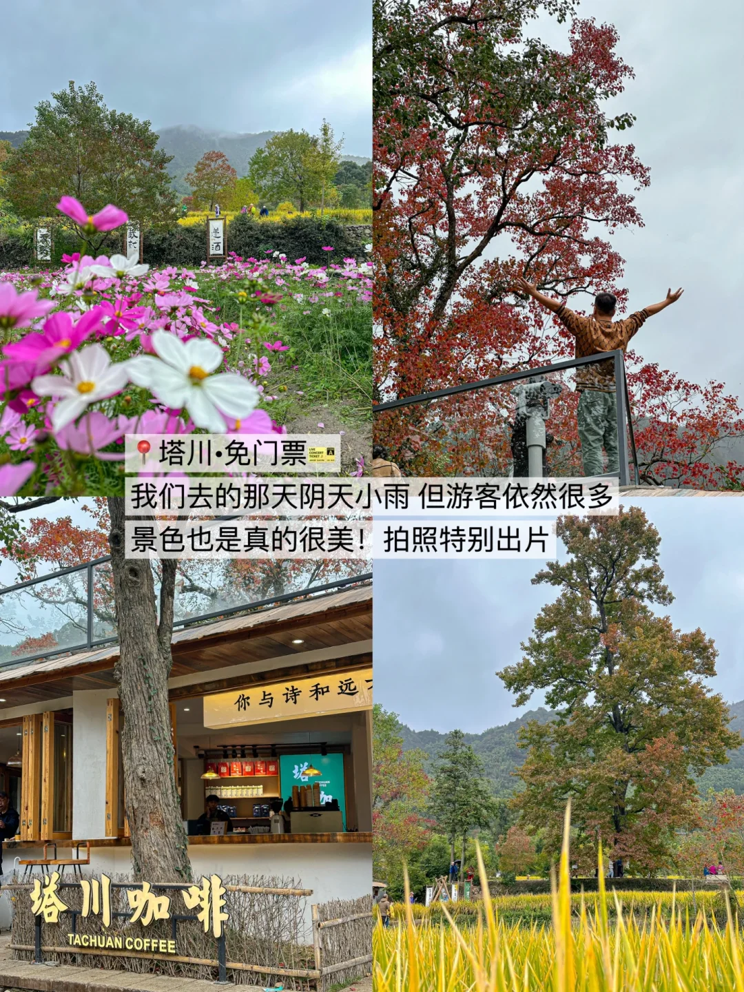 《周末出逃计划🗺️》第①站:安徽·黄山