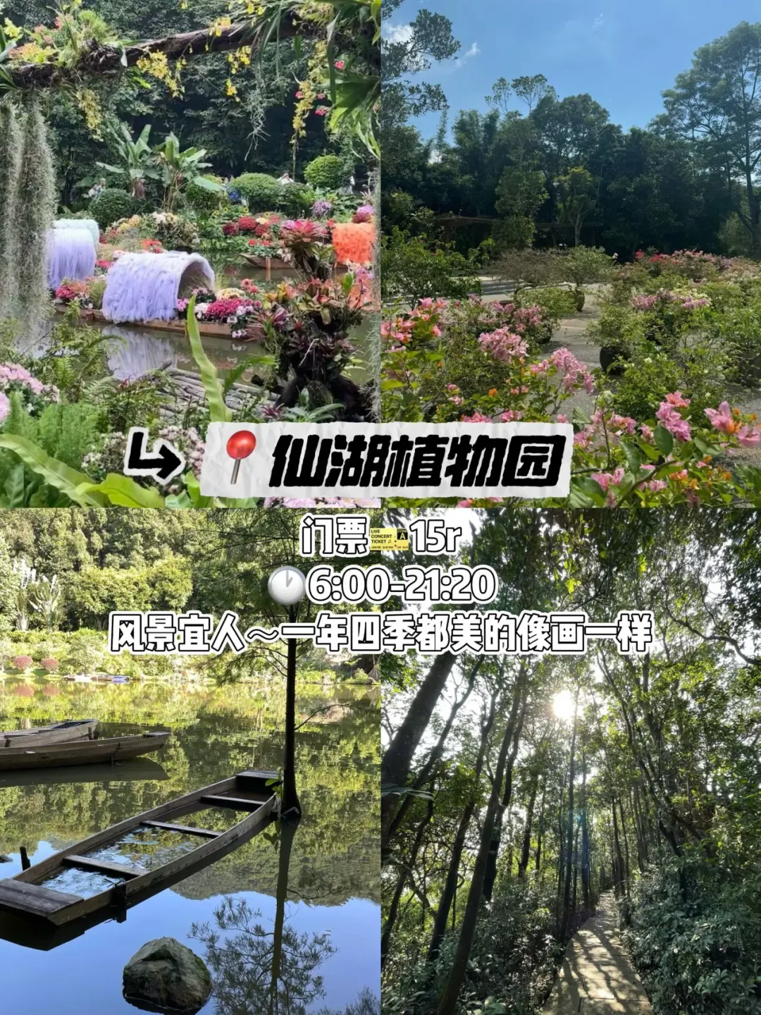 深圳📍citywalk旅游｜两天一夜打卡经典路线