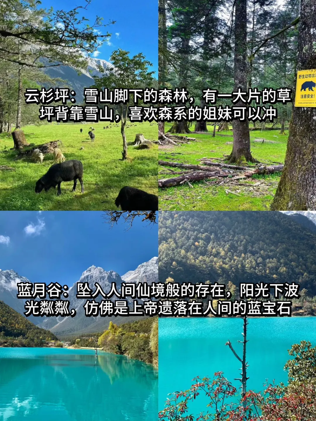 丽江旅游攻略📍三天两夜不绕路行程+建议！