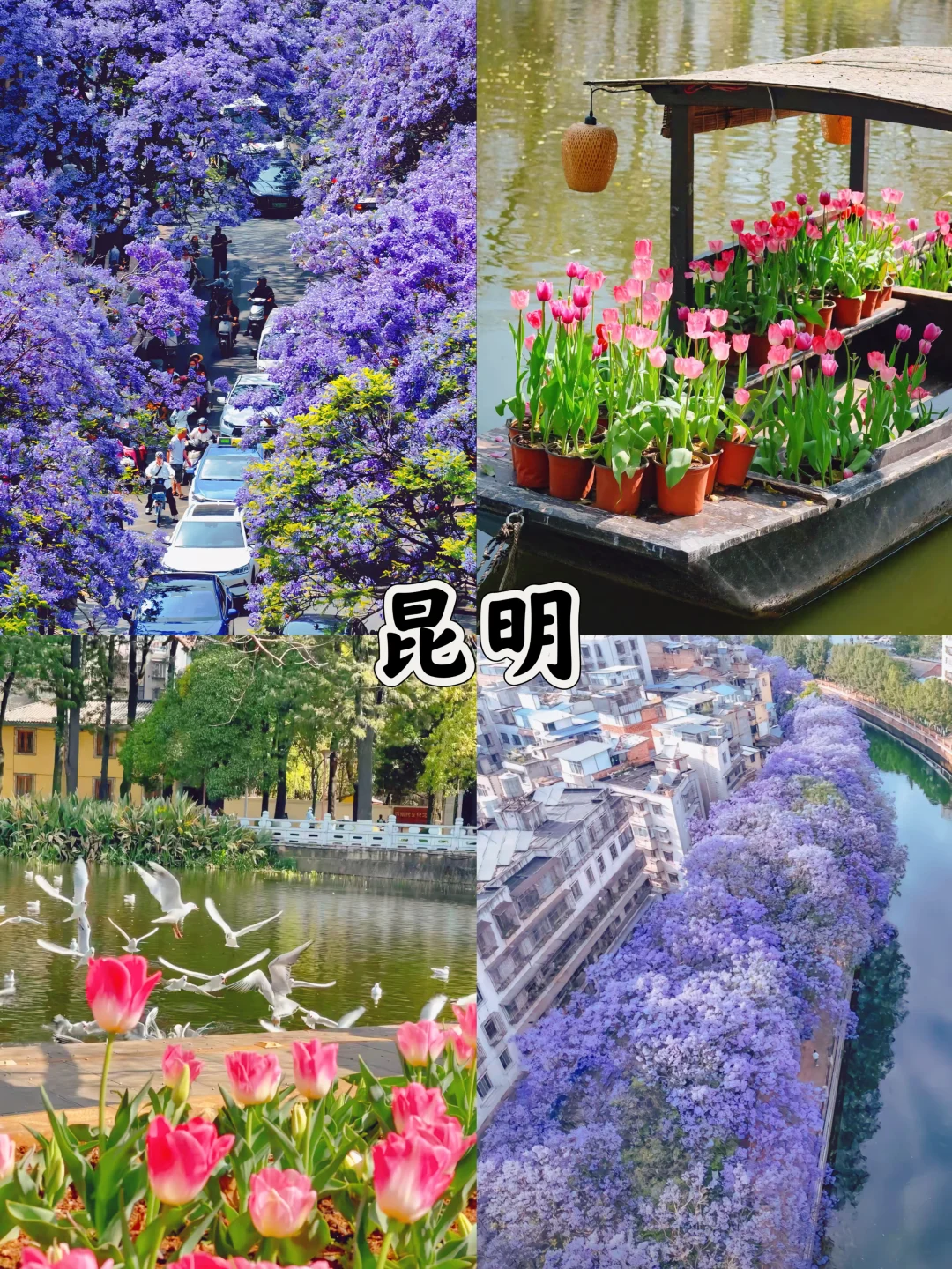 3-4月去哪玩？适合春天的10个旅游地🌸