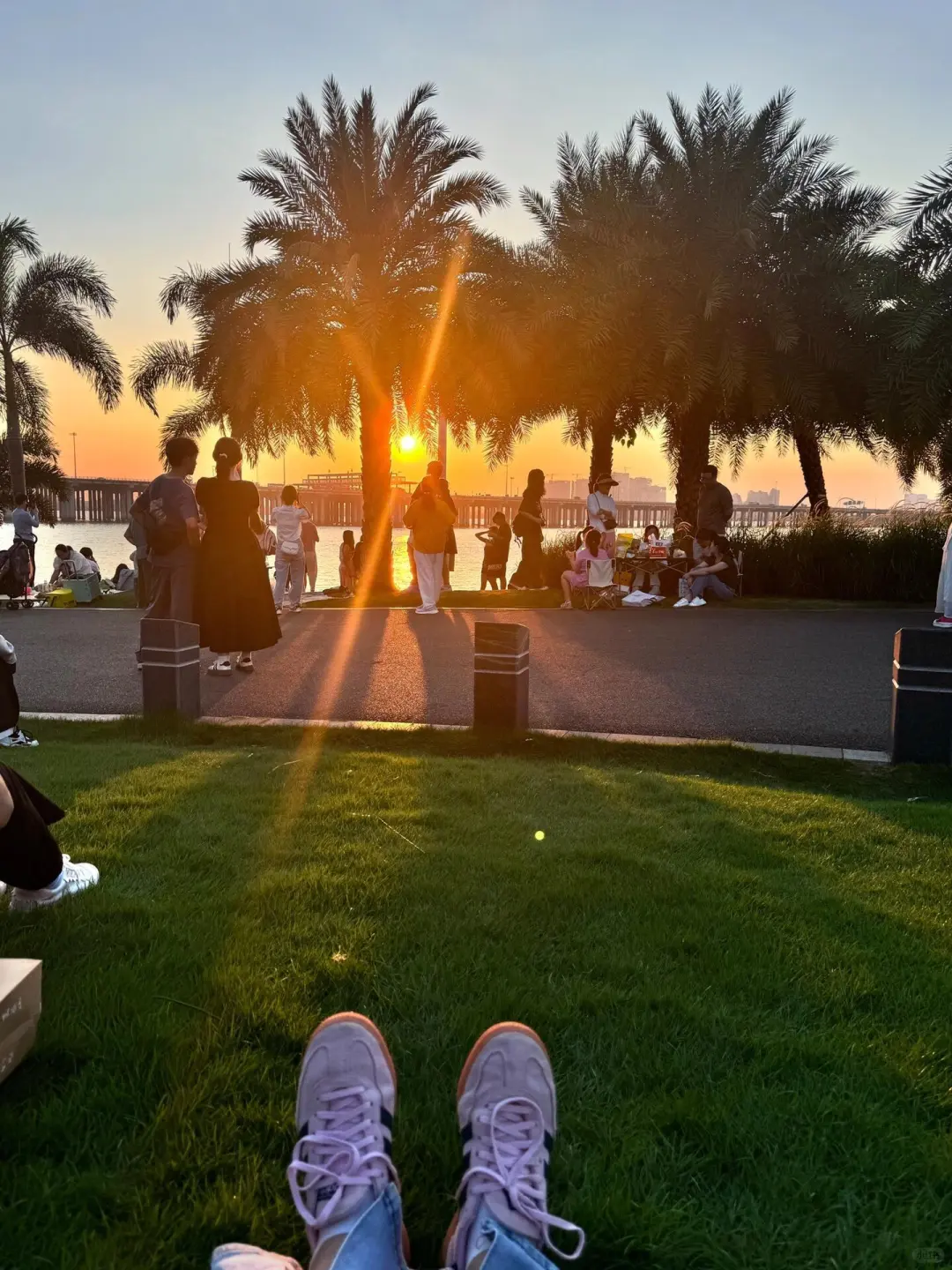 愿去深圳的姐妹都能刷到这篇❤️