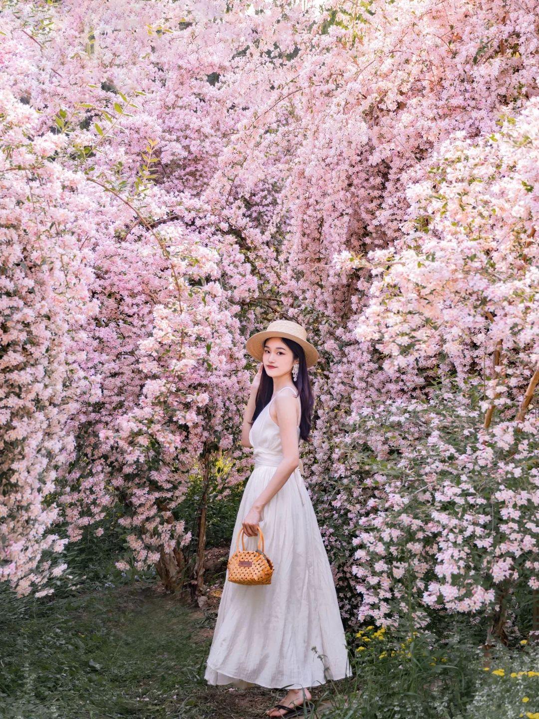 接下来的北京,比想象中还要美!