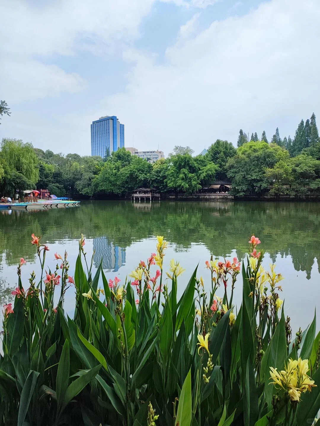 愿xhs每一个去成都的人都能刷到这篇🙏