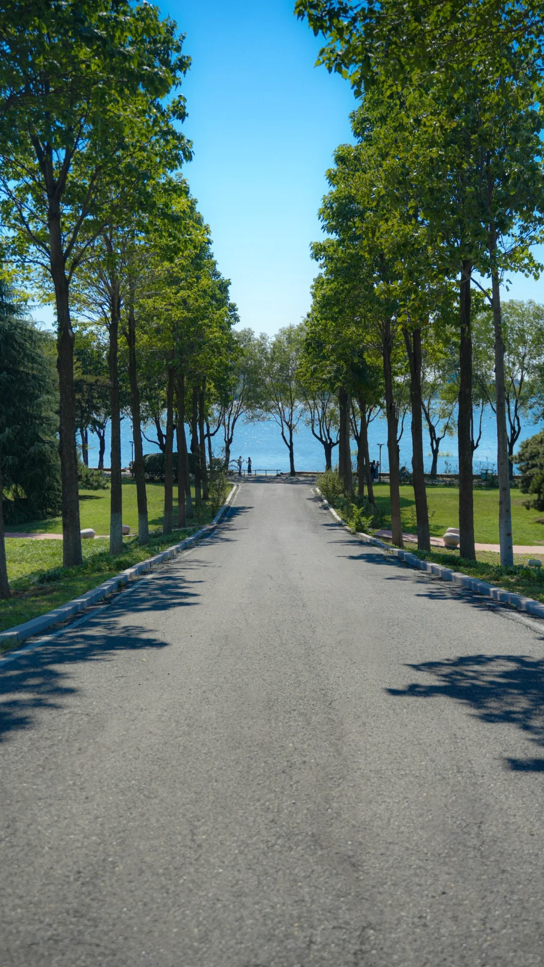 为了这18张图,我飞了趟山东临沂❗️❗️附机位