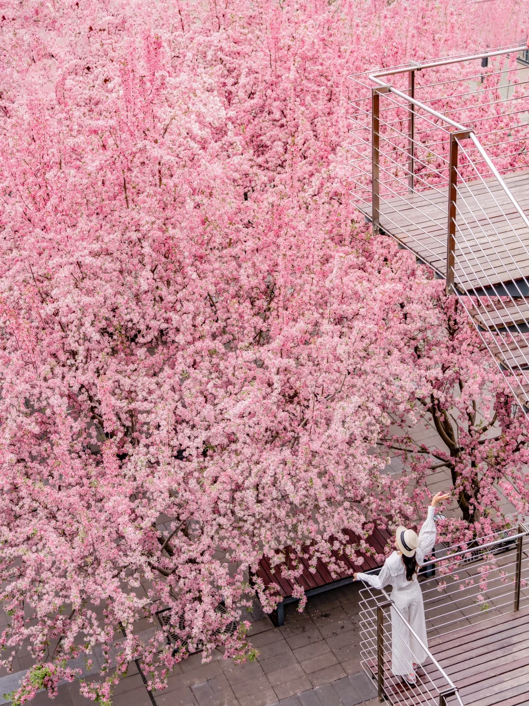 接下来的北京,比想象中还要美!
