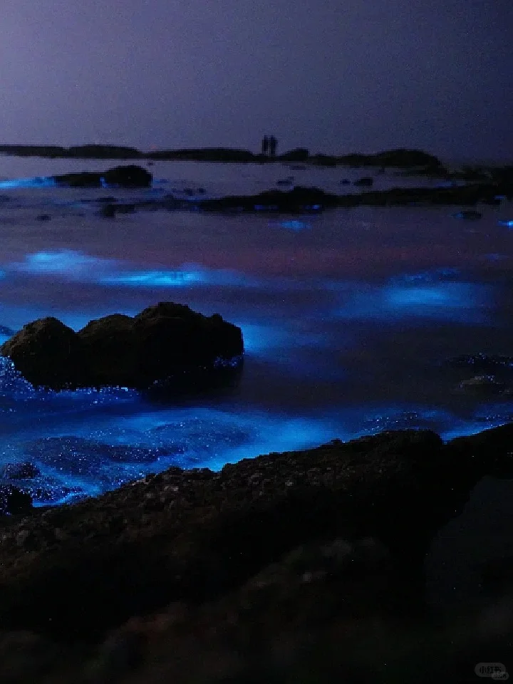 想追蓝眼泪💧的朋友，千万不要放过涠洲岛