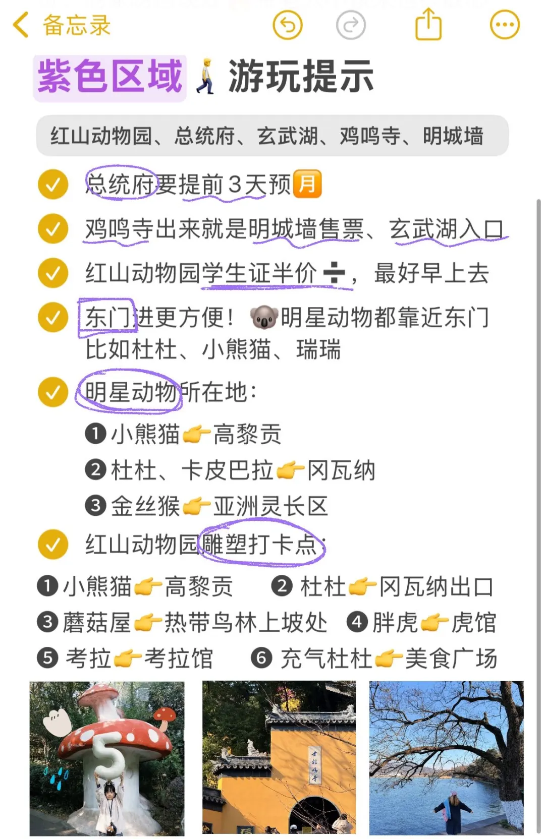 南京旅游超全指南✌️本地人总结