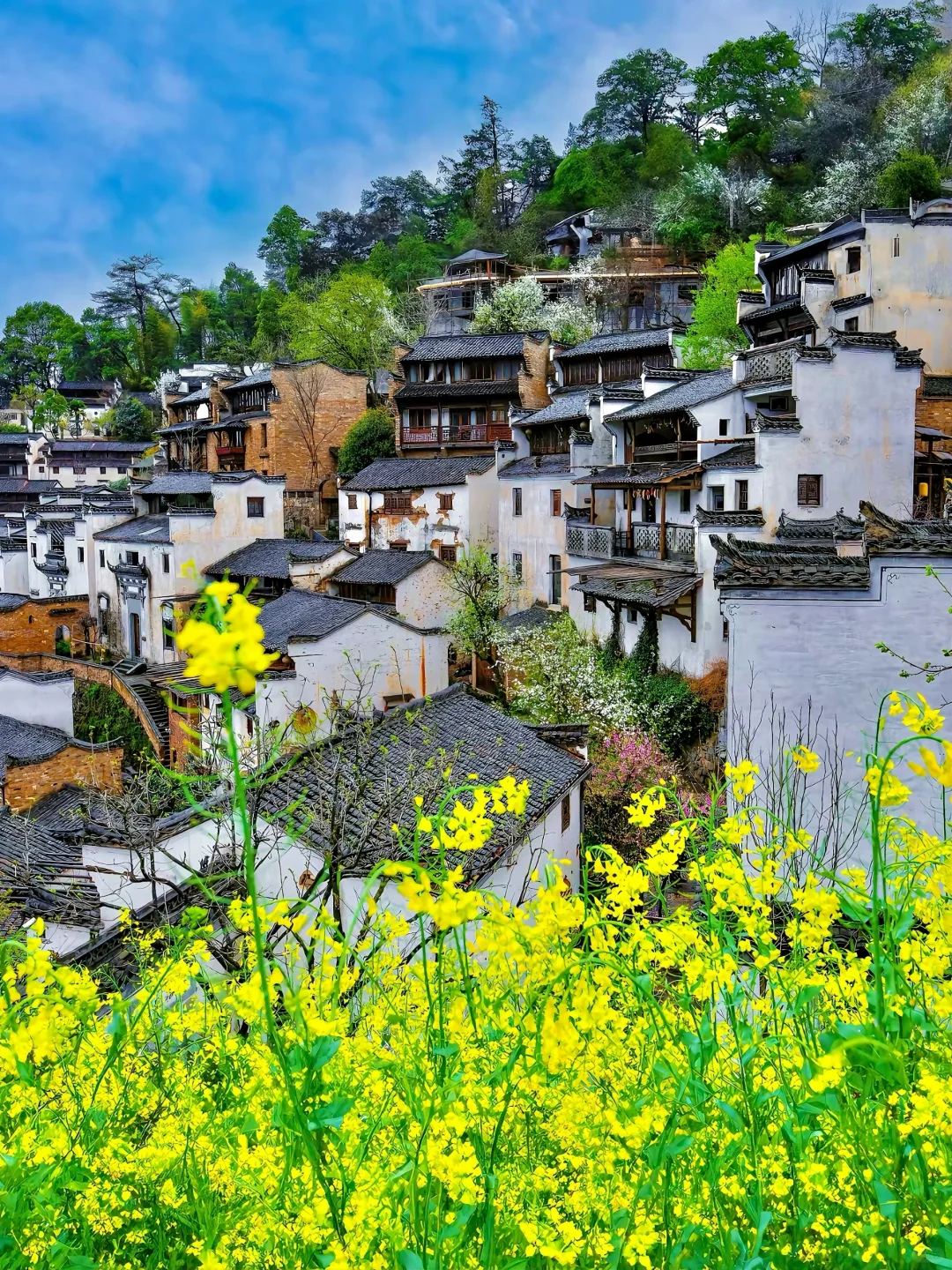 《国家地理》没骗我！3月的婺源美到哭